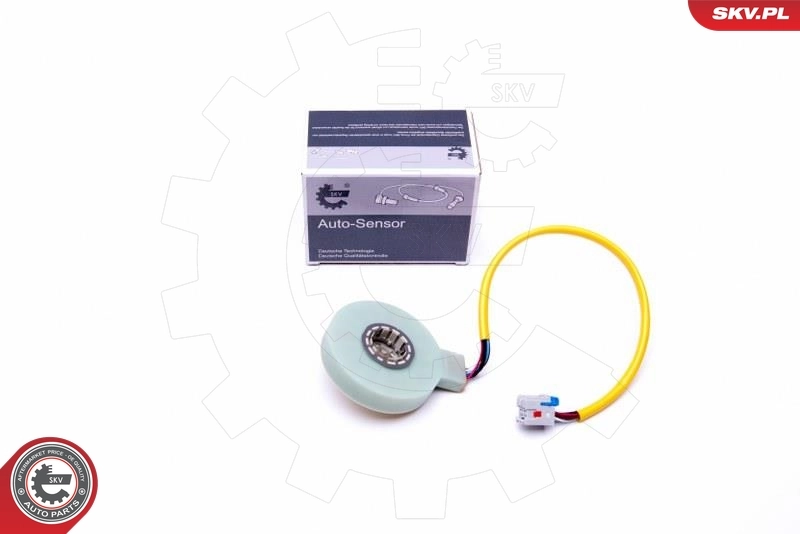 Steering Angle Sensor